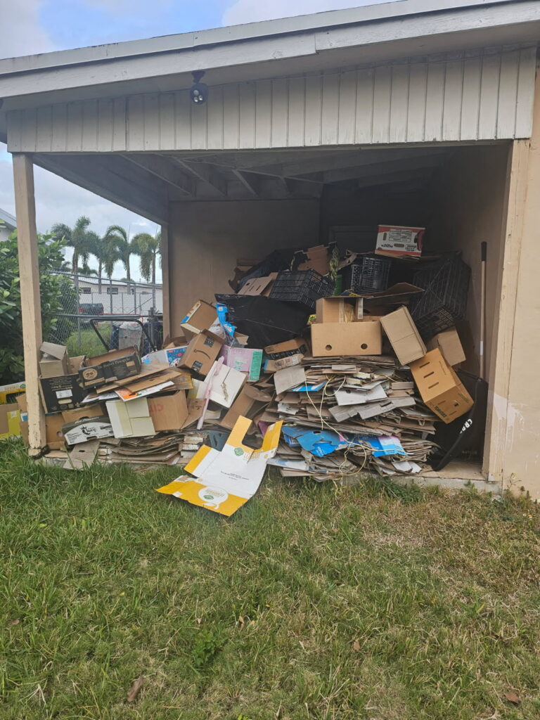 Junk trash and debris in the process of clean up. Junk removal st. Petersburg