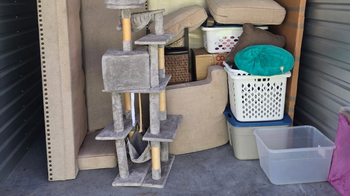 Storage unit cleanout