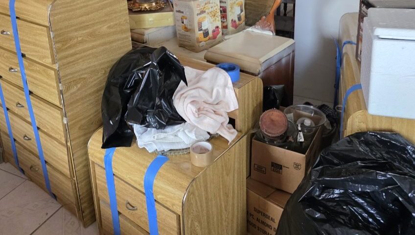 House cleanout osprey, FL